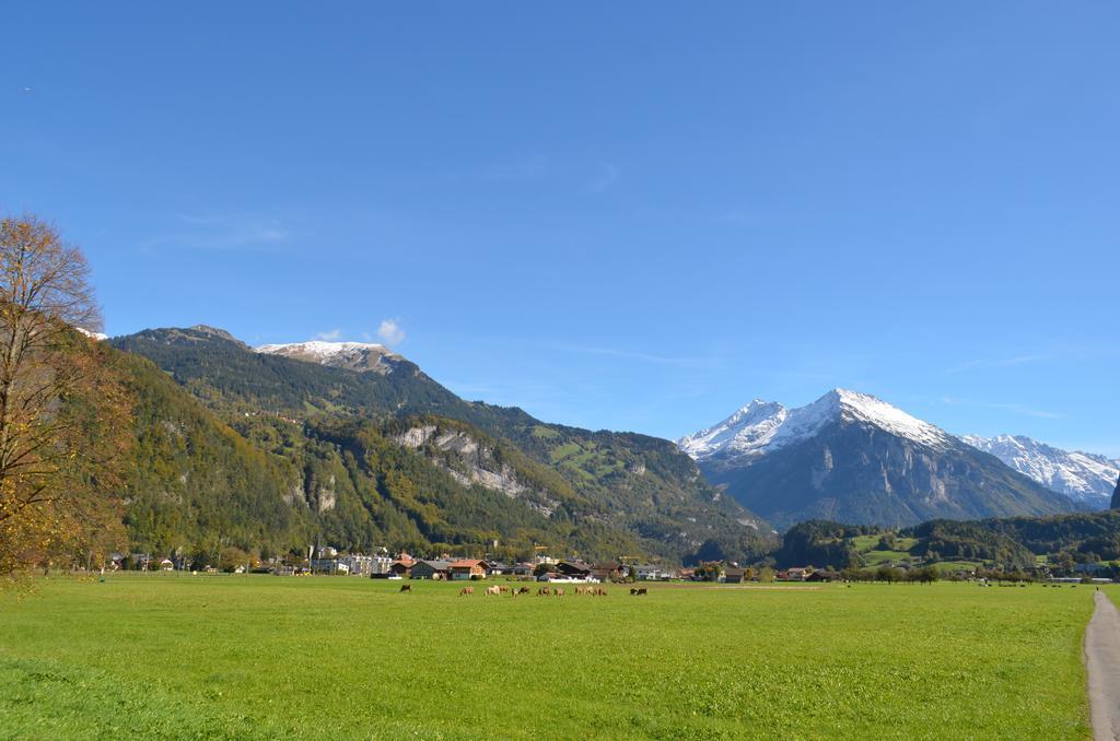Mountain-Panorama Apartamento Meiringen Exterior foto