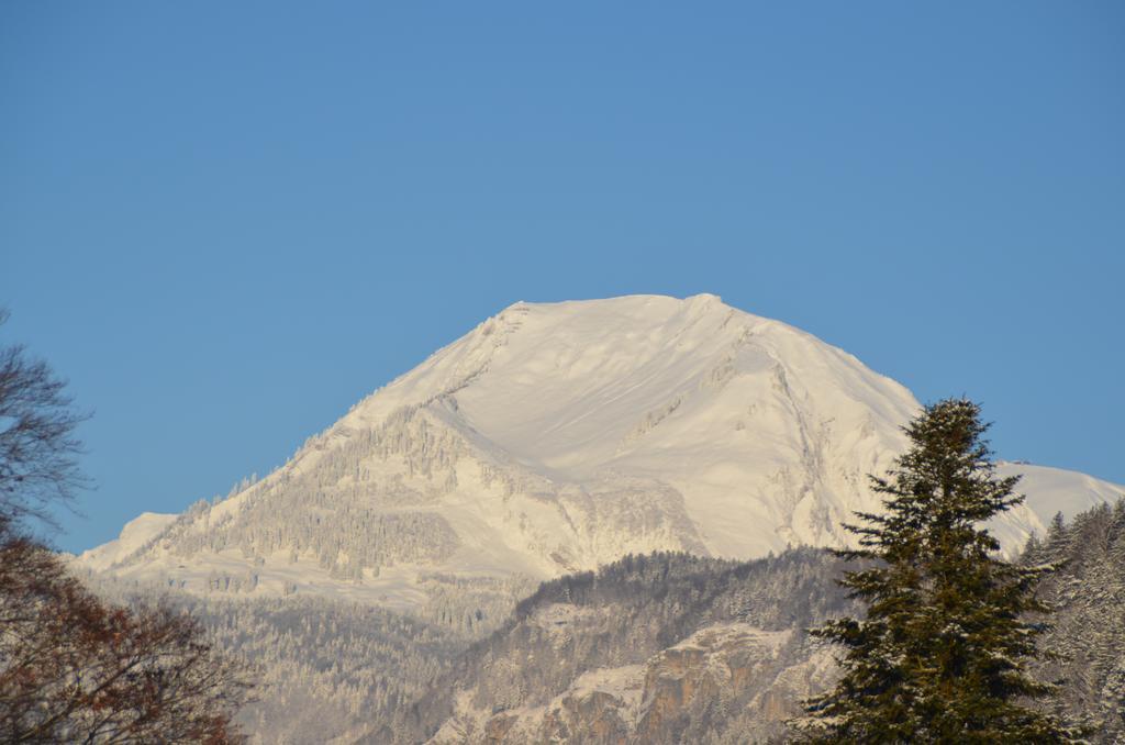 Mountain-Panorama Apartamento Meiringen Exterior foto